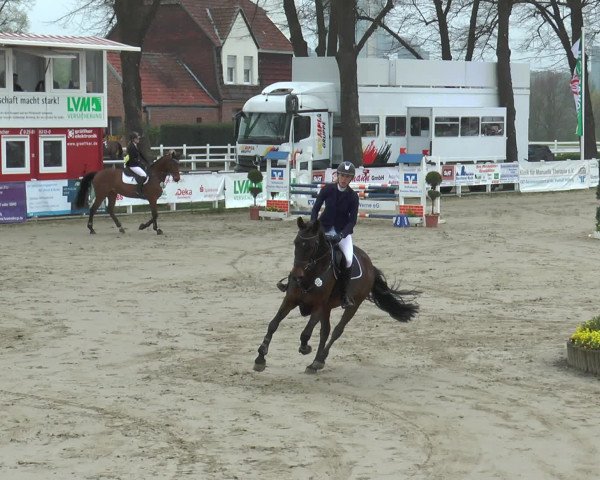 Reitturnier Werne-Lenklar 2017