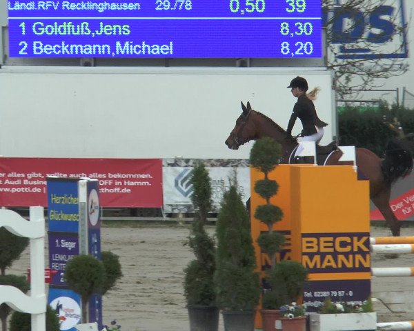 Reitturnier Werne-Lenklar 2017