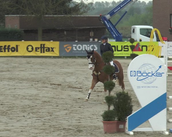 Lenklarer Reitertage 2017