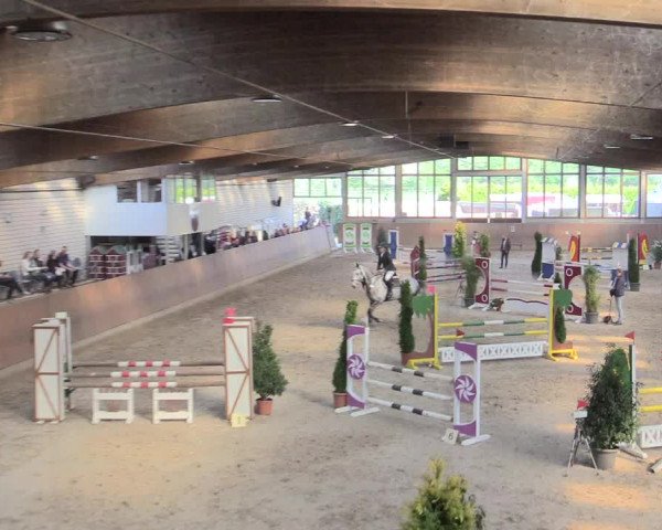 Reitturnier Leverkusen-Rheindorf 2017