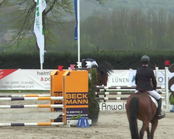 Reitturnier Werne-Lenklar 2017