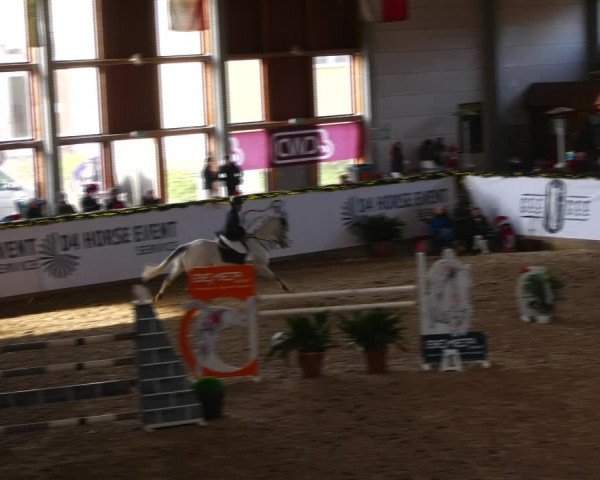 Christmas Jumping Trophy Prussendorf 2021