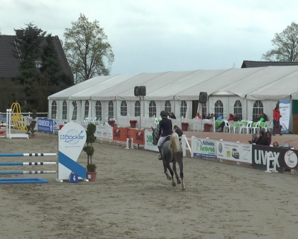 Reitturnier Werne-Lenklar 2017