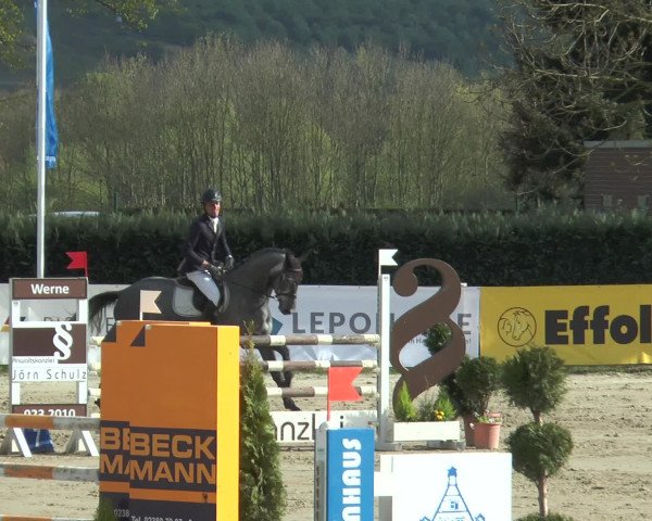Reitturnier Werne-Lenklar 2017