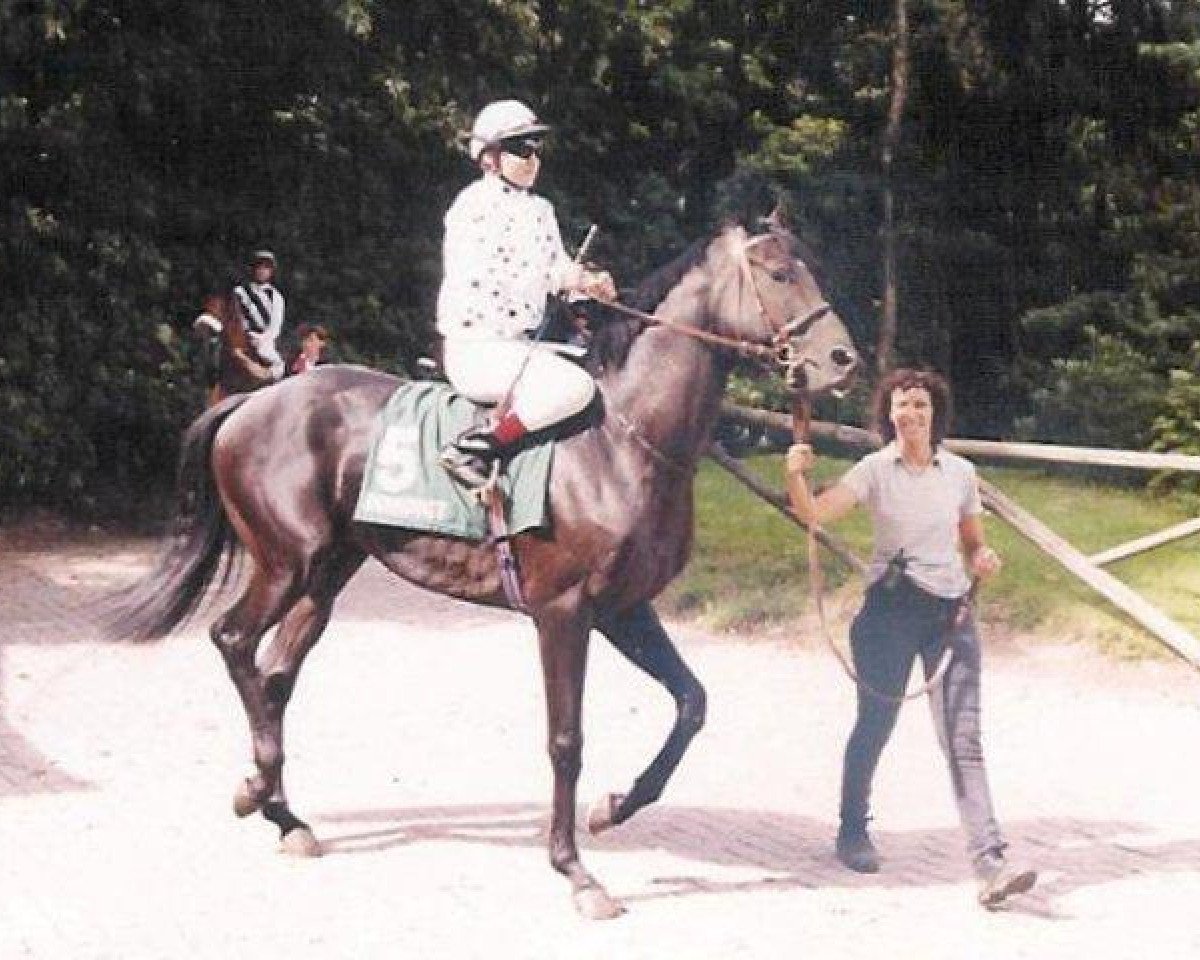 Deckhengst Watermill Rolex xx (Englisches Vollblut, 1998, von Mytens xx)