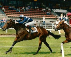 broodmare Watermill Olymp xx (Thoroughbred, 1987, from King xx)