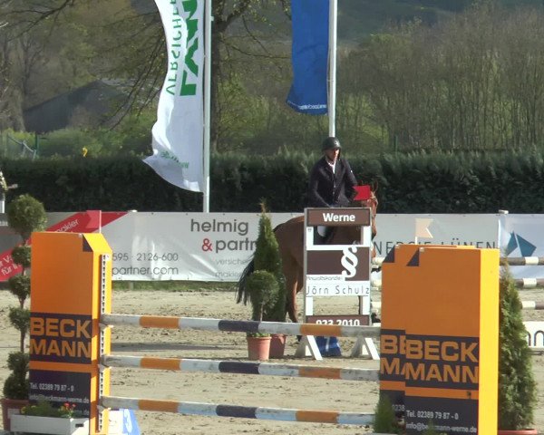 Lenklarer Reitertage 2017