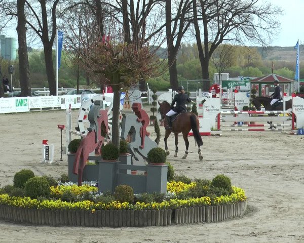 Lenklarer Reitertage 2017