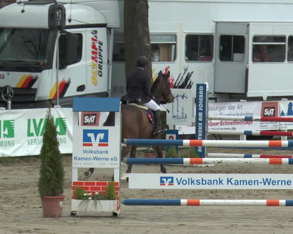 Reitturnier Werne-Lenklar 2017