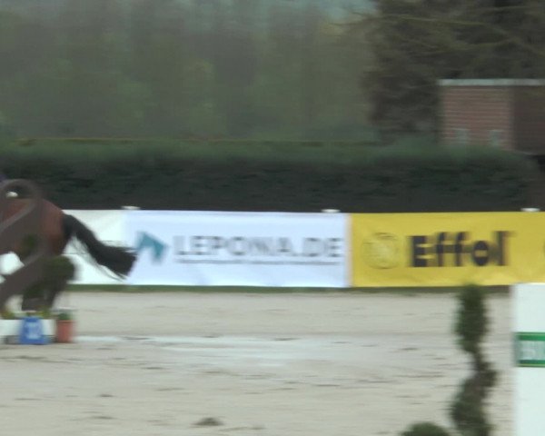Lenklarer Reitertage 2017