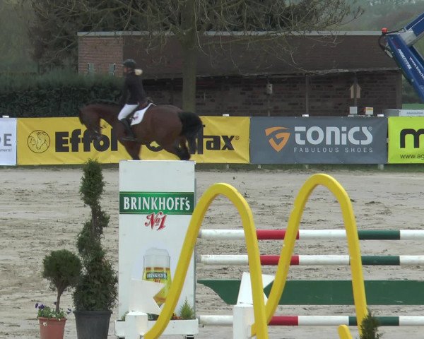 Reitturnier Werne-Lenklar 2017