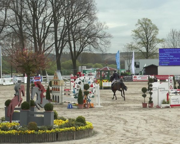 Reitturnier Werne-Lenklar 2017