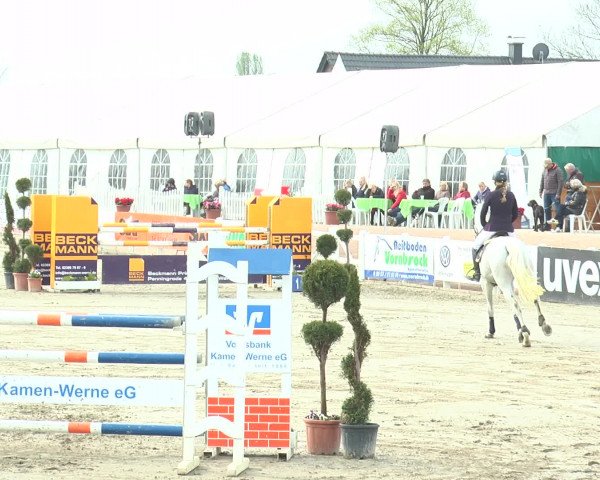 Lenklarer Reitertage 2017