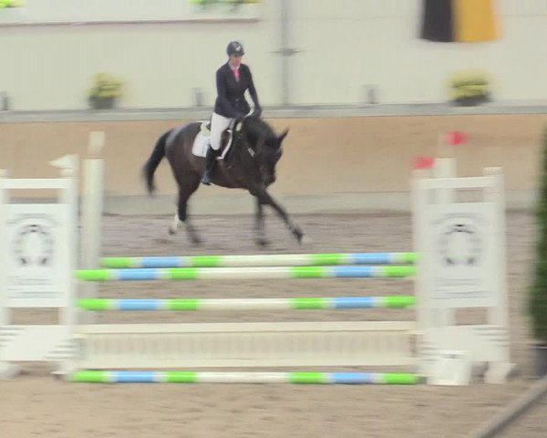Reitturnier Waghäusel-Wiesental 2017