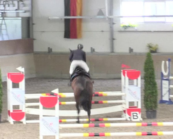 Reitturnier Waghäusel-Wiesental 2017