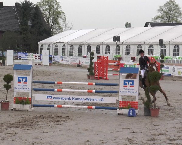 Reitturnier Werne-Lenklar 2017