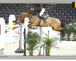 broodmare Thyrza de Ste Hermelle (Belgium Sporthorse, 2003, from Surcouf de Revel)