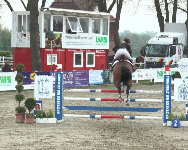 Reitturnier Werne-Lenklar 2017