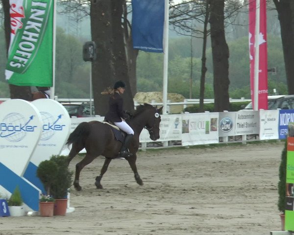 Lenklarer Reitertage 2017