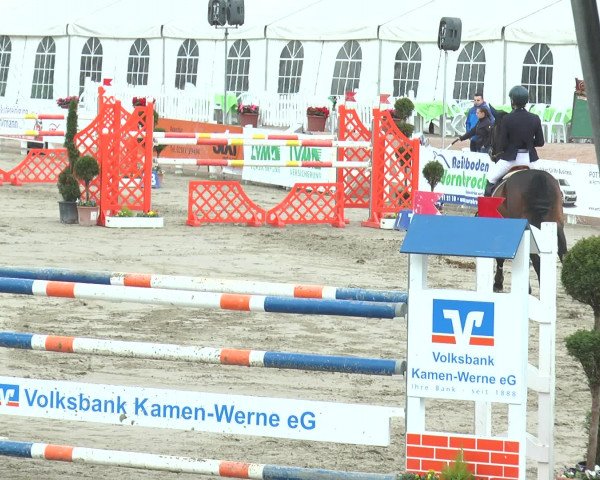 Reitturnier Werne-Lenklar 2017
