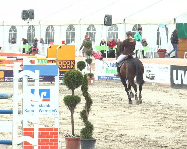 Lenklarer Reitertage 2017