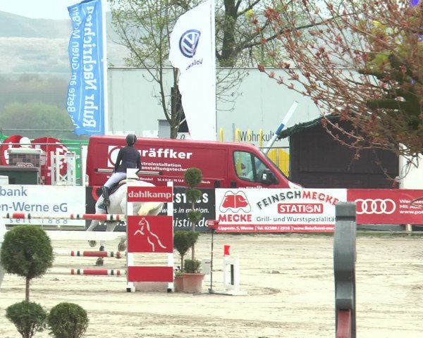Lenklarer Reitertage 2017