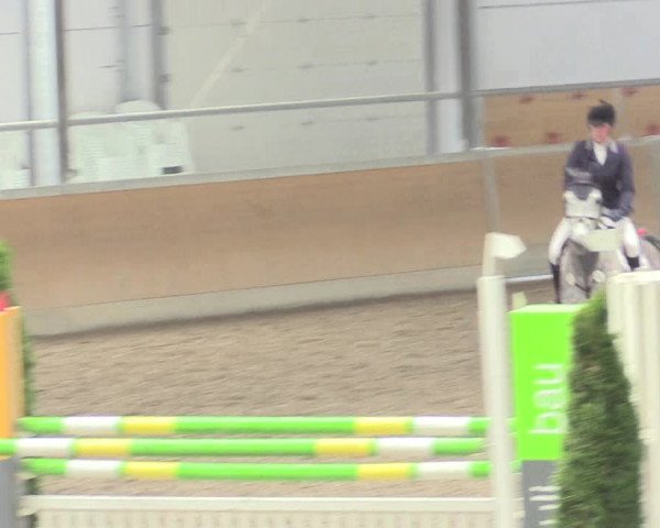 Reitturnier Waghäusel-Wiesental 2017