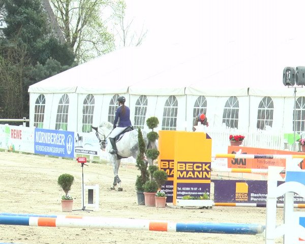 Reitturnier Werne-Lenklar 2017