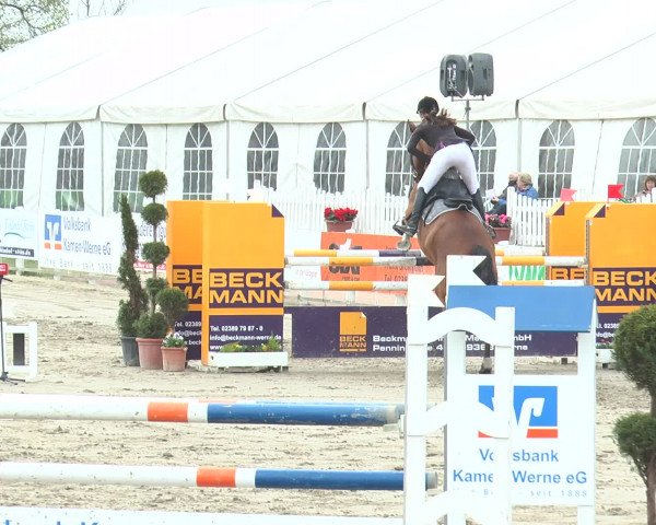 Lenklarer Reitertage 2017