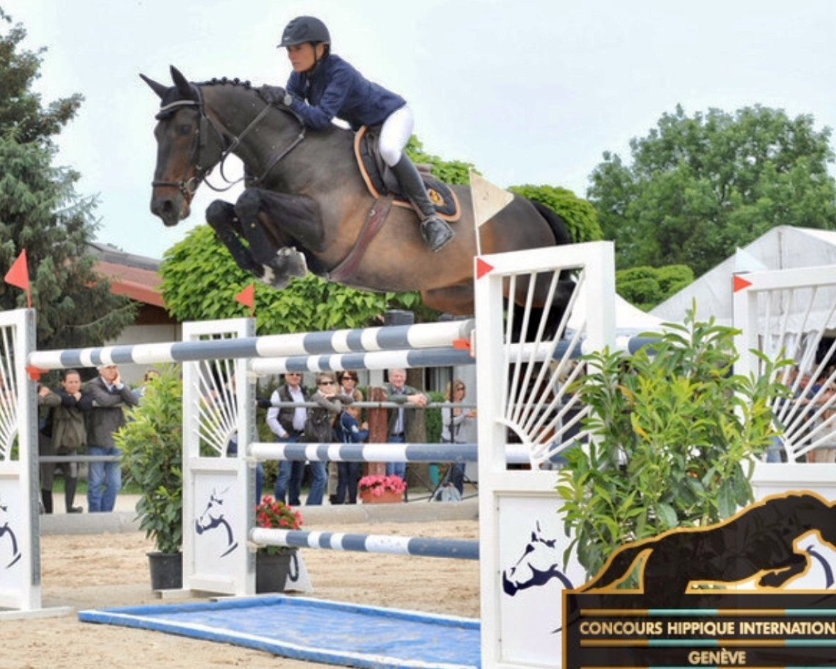 Springpferd Prevert van Sint Maarten (Belgium Sporthorse, 1999, von Kannan)