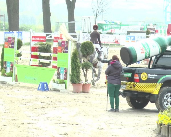 Reitturnier Werne-Lenklar 2017