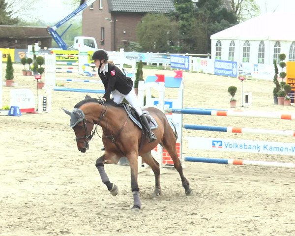 Lenklarer Reitertage 2017