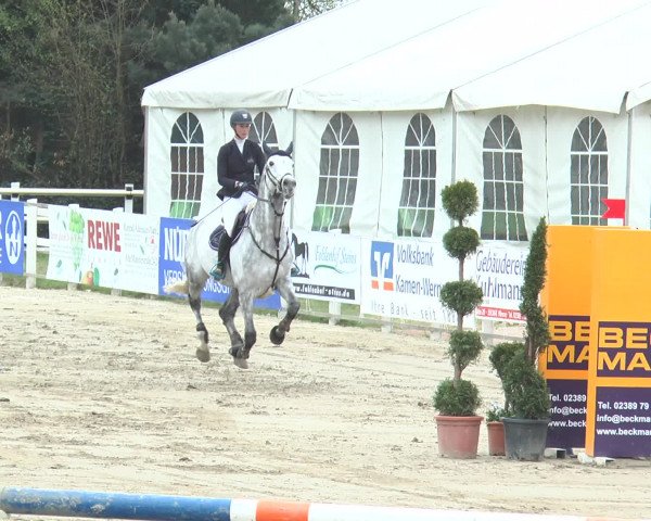 Reitturnier Werne-Lenklar 2017