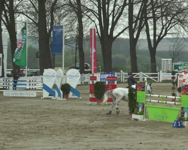 Lenklarer Reitertage 2017