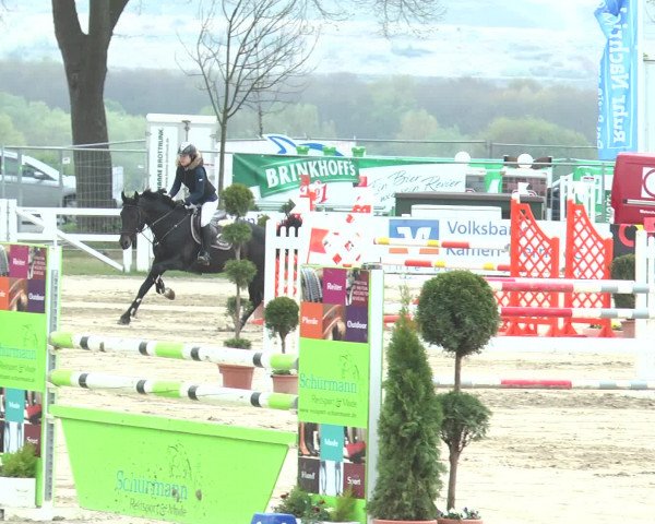 Lenklarer Reitertage 2017