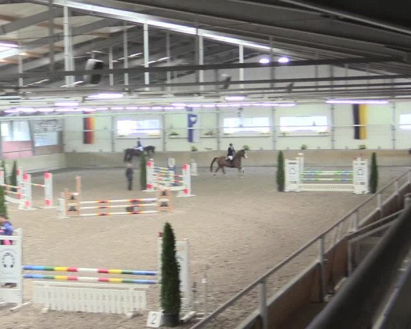 Reitturnier Waghäusel-Wiesental 2017