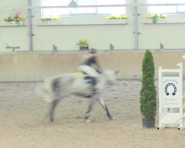 Reitturnier Waghäusel-Wiesental 2017