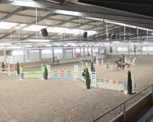 Reitturnier Waghäusel-Wiesental 2017