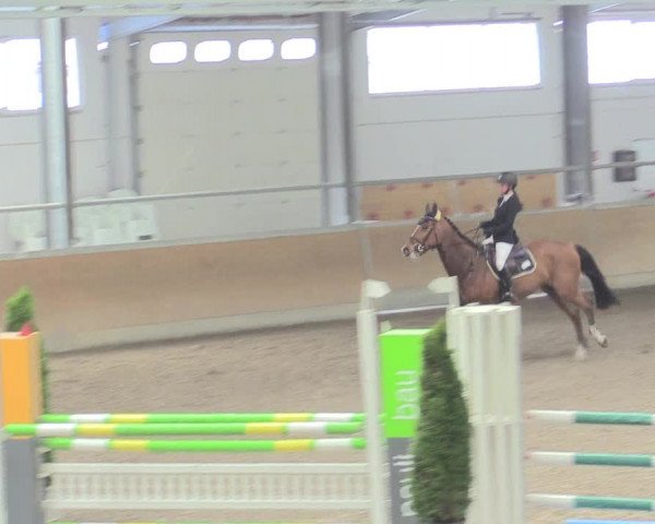Reitturnier Waghäusel-Wiesental 2017