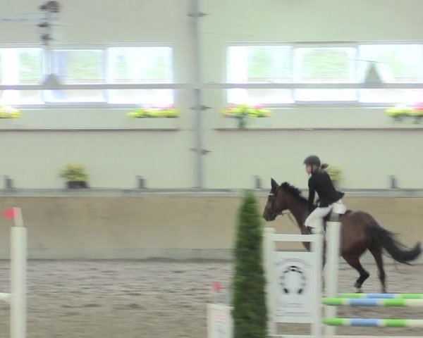 Reitturnier Waghäusel-Wiesental 2017