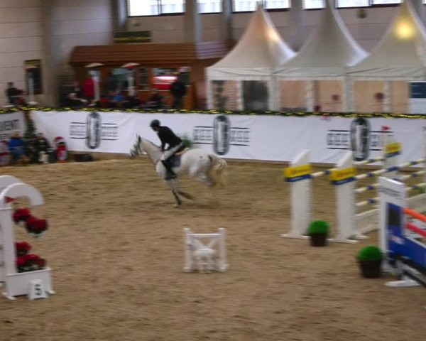 Christmas Jumping Trophy Prussendorf 2021