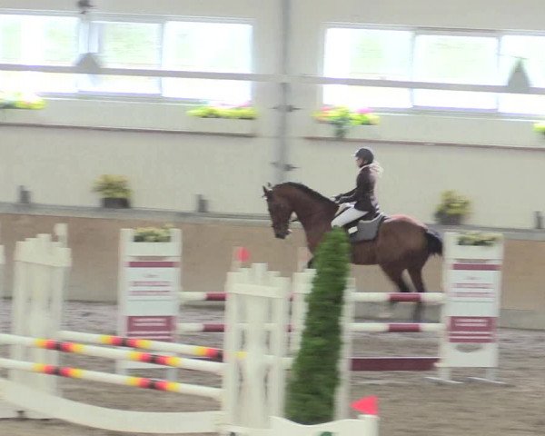 Reitturnier Waghäusel-Wiesental 2017