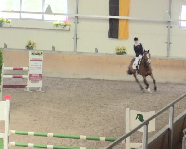 Reitturnier Waghäusel-Wiesental 2017