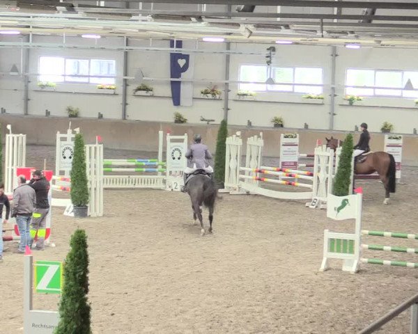 Reitturnier Waghäusel-Wiesental 2017
