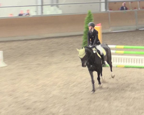 Reitturnier Waghäusel-Wiesental 2017
