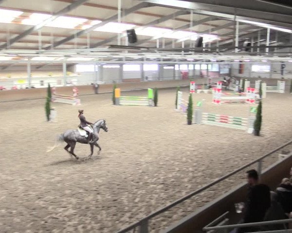 Reitturnier Waghäusel-Wiesental 2017
