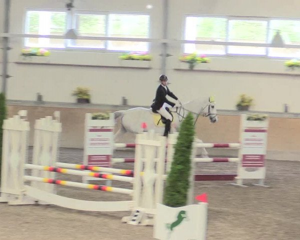 Reitturnier Waghäusel-Wiesental 2017