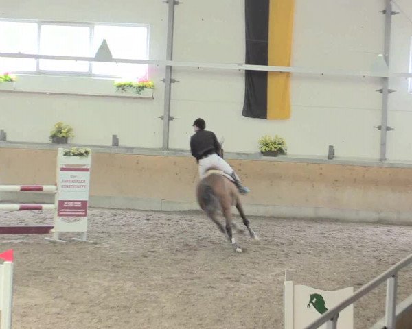 Reitturnier Waghäusel-Wiesental 2017