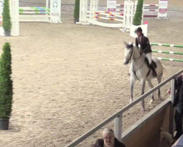 Reitturnier Waghäusel-Wiesental 2017