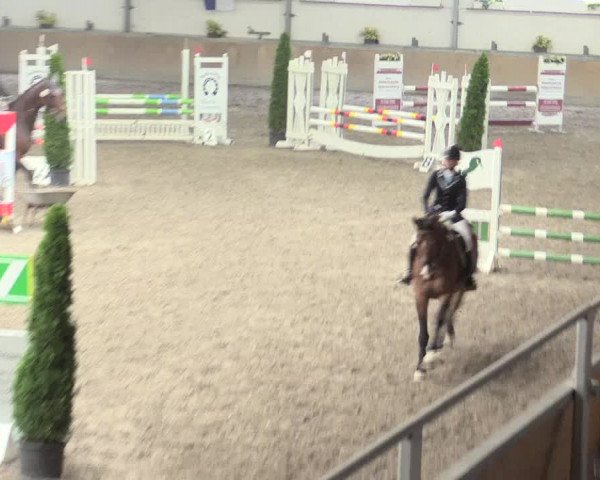 Reitturnier Waghäusel-Wiesental 2017